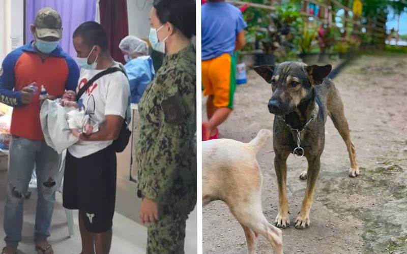 Cachorro obrigou motociclista a segui-lo até um lixão, onde estava um bebê abandonado