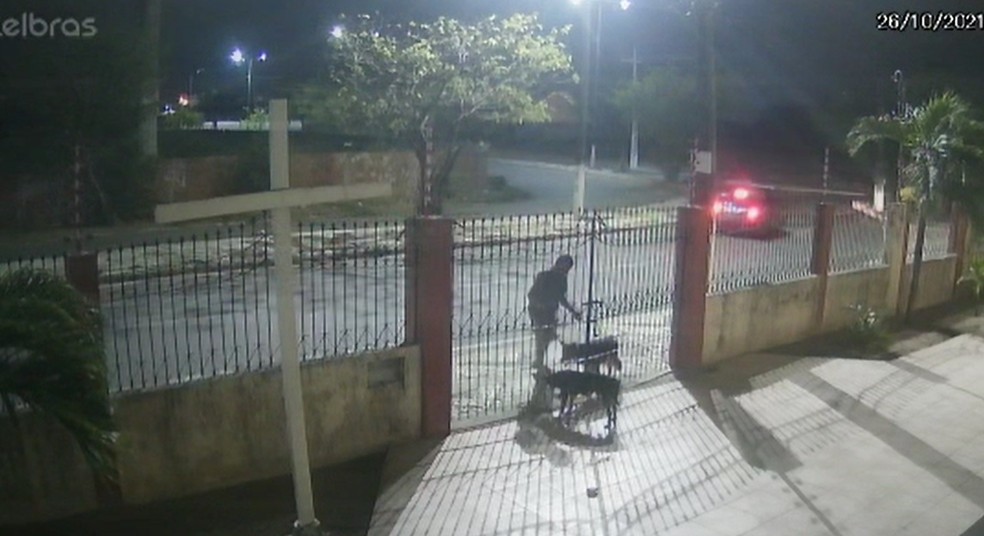 VÍDEO: homem força portão de igreja e furta cachorro de padre