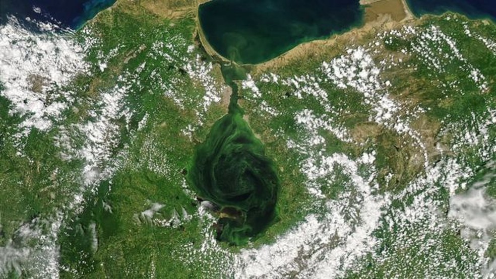 Maior lago da América do Sul está ficando verde; consequências podem ser fatais