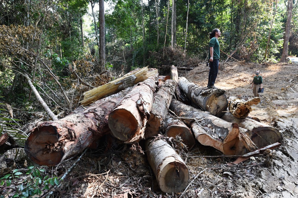 Brasil cortou 93% da verba para pesquisa em mudanças climáticas