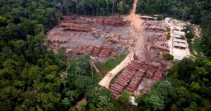 Desmatamento na Amazônia cai 19% em novembro; confira
