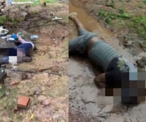 Violência: Família de ambientalistas é assassinada no Pará