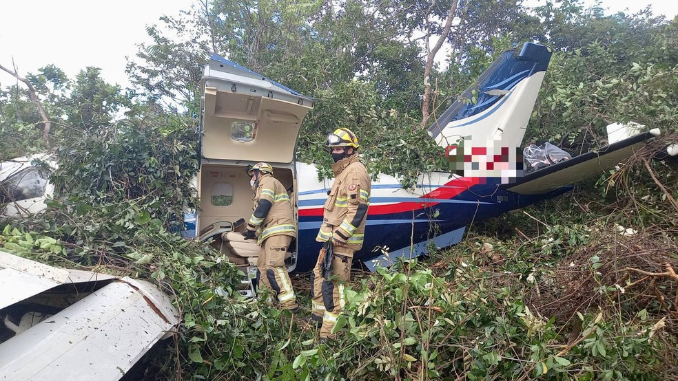 Avião de pequeno porte cai na Fazenda Piquet; veja no vídeo