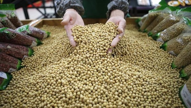 Conheça quais produtos agrícolas estão sendo afetados pela guerra