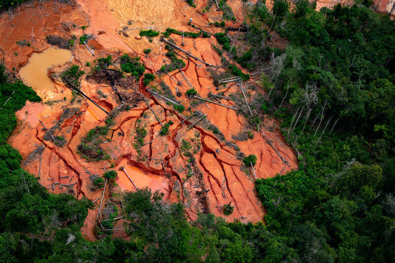 Desmatamento em territórios indígenas avança e perdem 263 km²