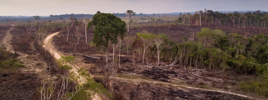 Amazônia tem desmatamento recorde no primeiro trimestre de 2022