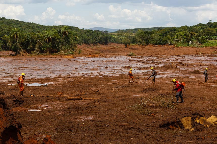 Projeto endurece multa para crime ambiental