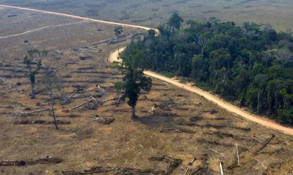 Alerta: desmatamento bate recorde em abril na Amazônia