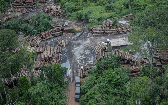Para 40%, Bolsonaro incentiva crimes na Amazônia