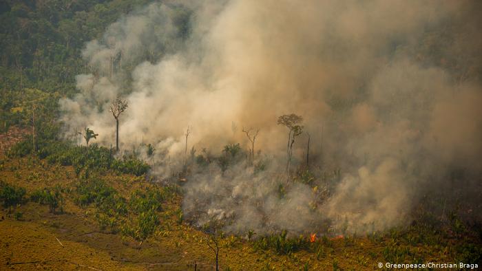 Amazônia tem maior número de incêndios em maio desde 2004