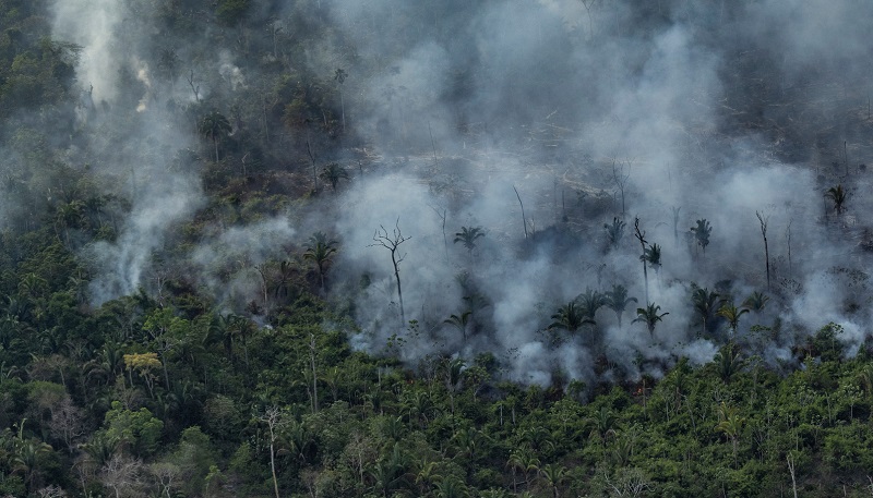 Municípios da Amazônia lideram ranking de maiores emissores de gases de efeito estufa