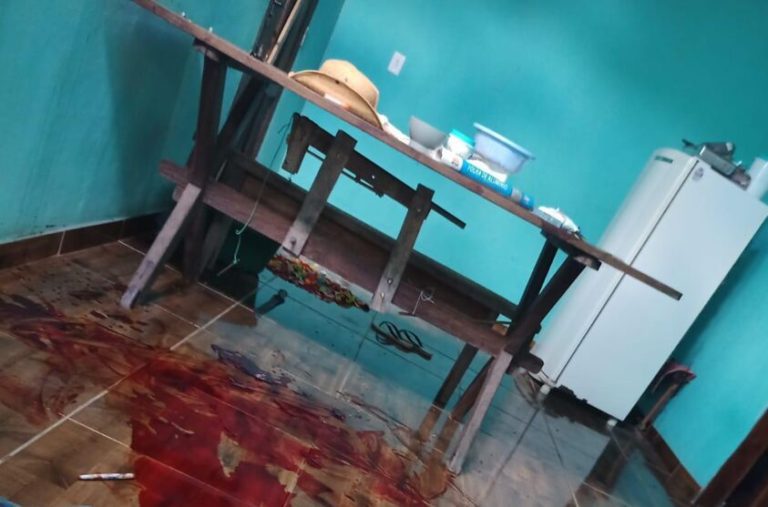 Ladrão cai em armadilha e acaba alvejado no Pará