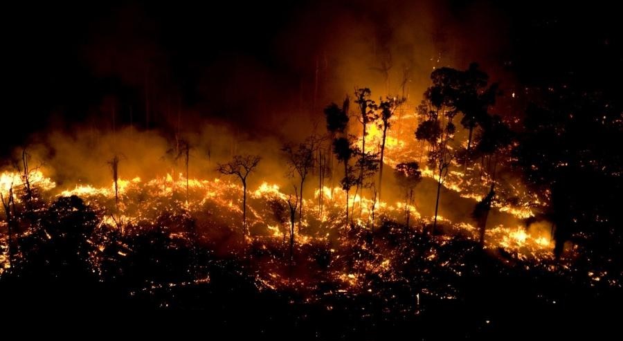 Mês de setembro bate recorde em queimadas desde 2010