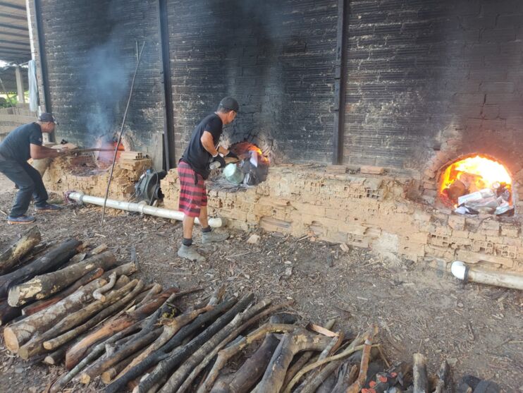 Uma tonelada de droga é incinerada em Bragança. Veja!