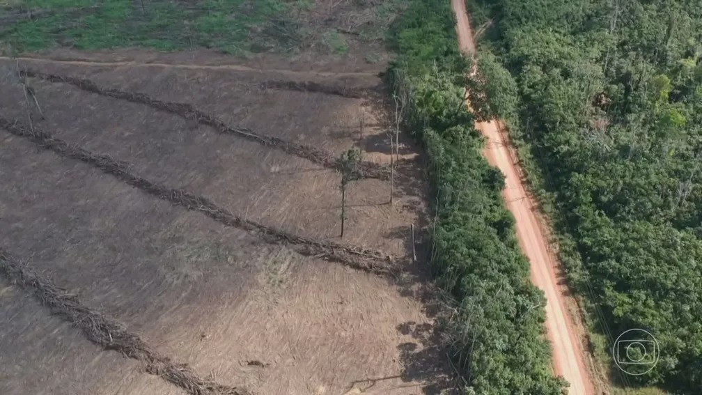 Amazônia Legal tem o maior desmatamento em 15 anos