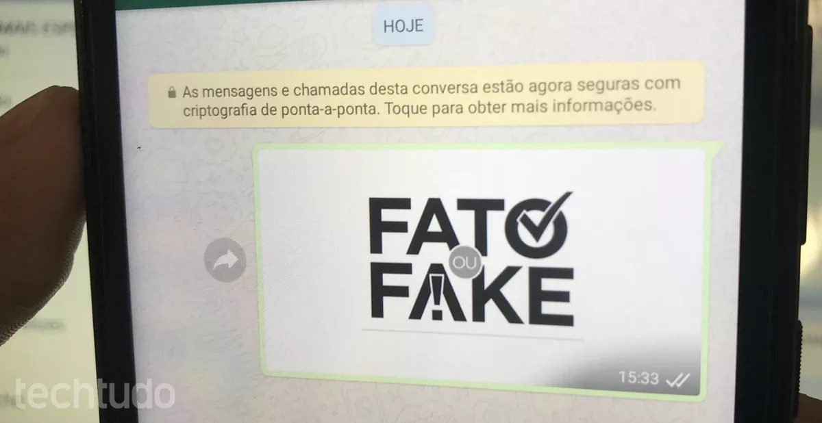 Fato ou Fake: Como checar se uma mensagem e falsa