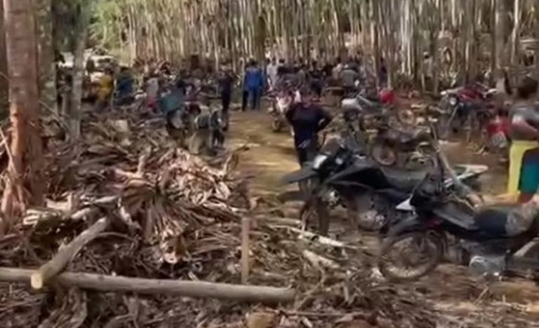Funai retirar invasores da terra indígena