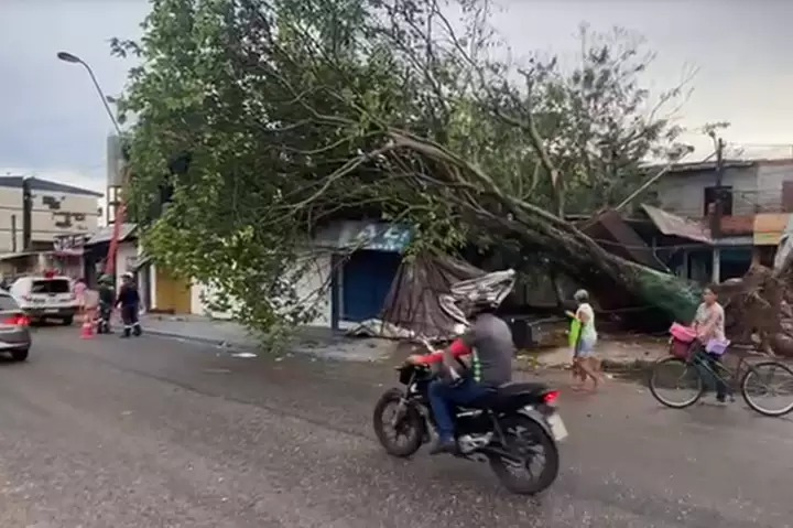 Vídeo: vendaval destelha casas e derruba árvores em Ananindeua