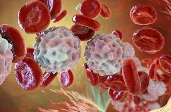 Leucemia: saiba identificar sintomas de câncer no sangue