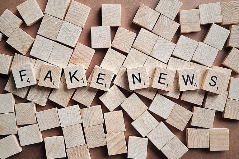 Confira o que é fato ou Fakes sobre a urna eletrônica