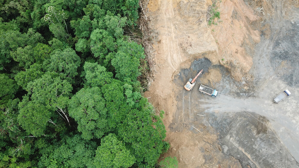 Queimadas na Amazônia diminuem 25% ; De acordo com a pesquisadora, as chuvas que caracterizam os 1ºs  meses do ano no país