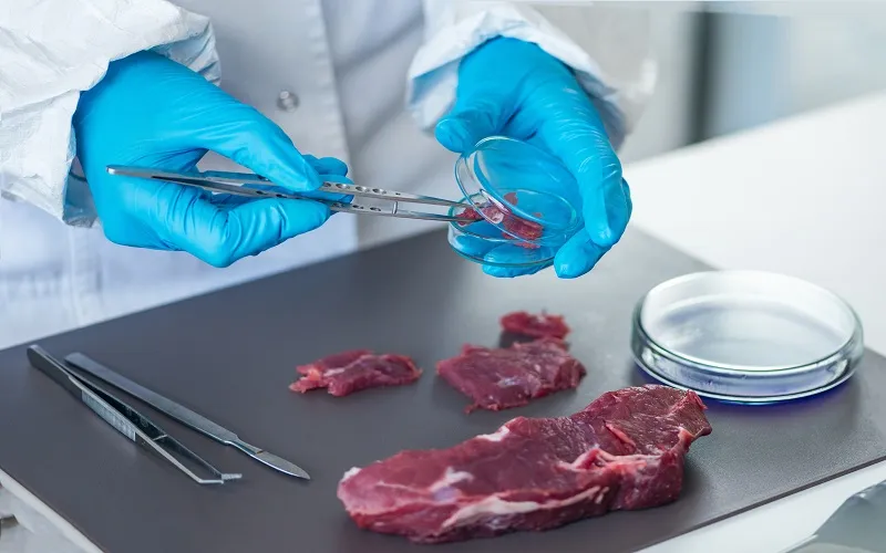 Carne cultivada em laboratório deve chegar aos mercados em 2024 segundo eles, a tecnologia promete uma revolução na pecuária.v