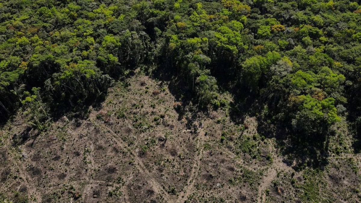 Àrea ambiental: quais são os desafios do governo eleito?