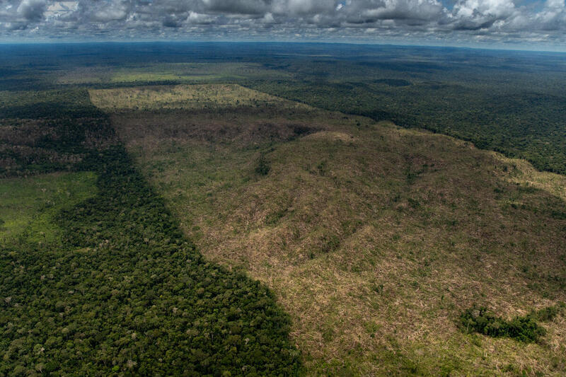 Em 2022 o desmatamento na Amazônia é o maior em 15 anos