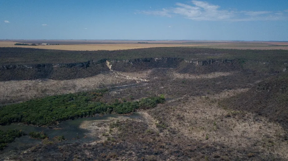 Desmatamento no Cerrado chega a 25% e é o maior desde 2015