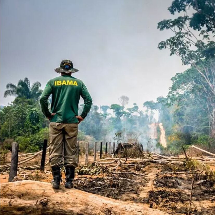 Amazônia: desmatamento atinge um dos maiores índices