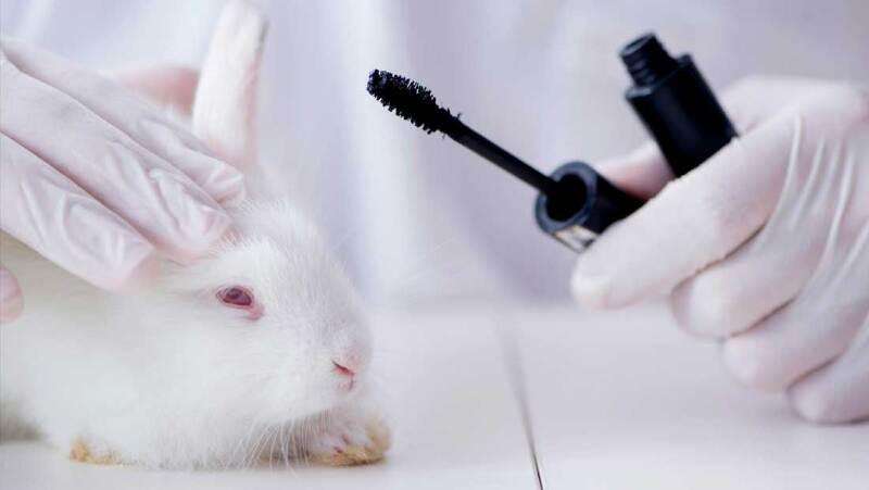Governo proíbe uso de animais em testes para perfumes e cosméticosO Conselho Nacional de Controle de Experimentação Animal (Concea)
