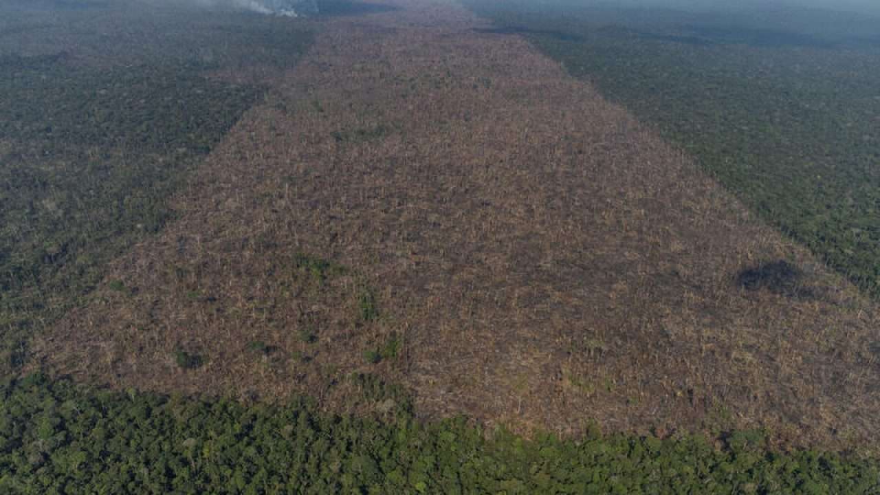 Fevereiro registrou recorde de desmatamento na AmazoniaA Amazônia Legal registrou recordes de alertas de desmatamentos em fevereiro. 