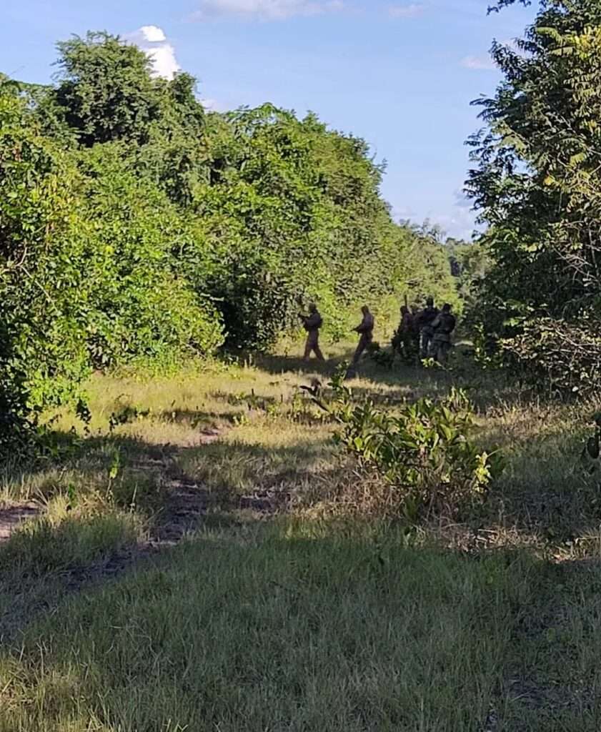 Confresa: Bandidos são mortos em novo confronto com a força-tarefa no TO; O grupo criminoso que está escondido no Tocantins