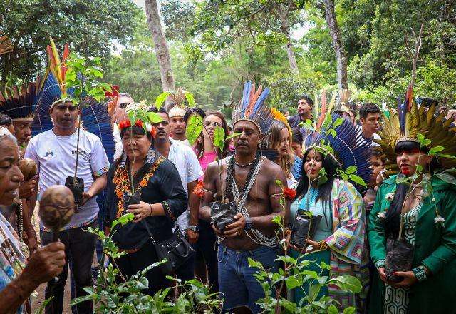 Câmara aprova PL que dificulta demarcação de terras indígenas A Câmara dos Deputados aprovou nesta quarta-feira (24) um requerimento