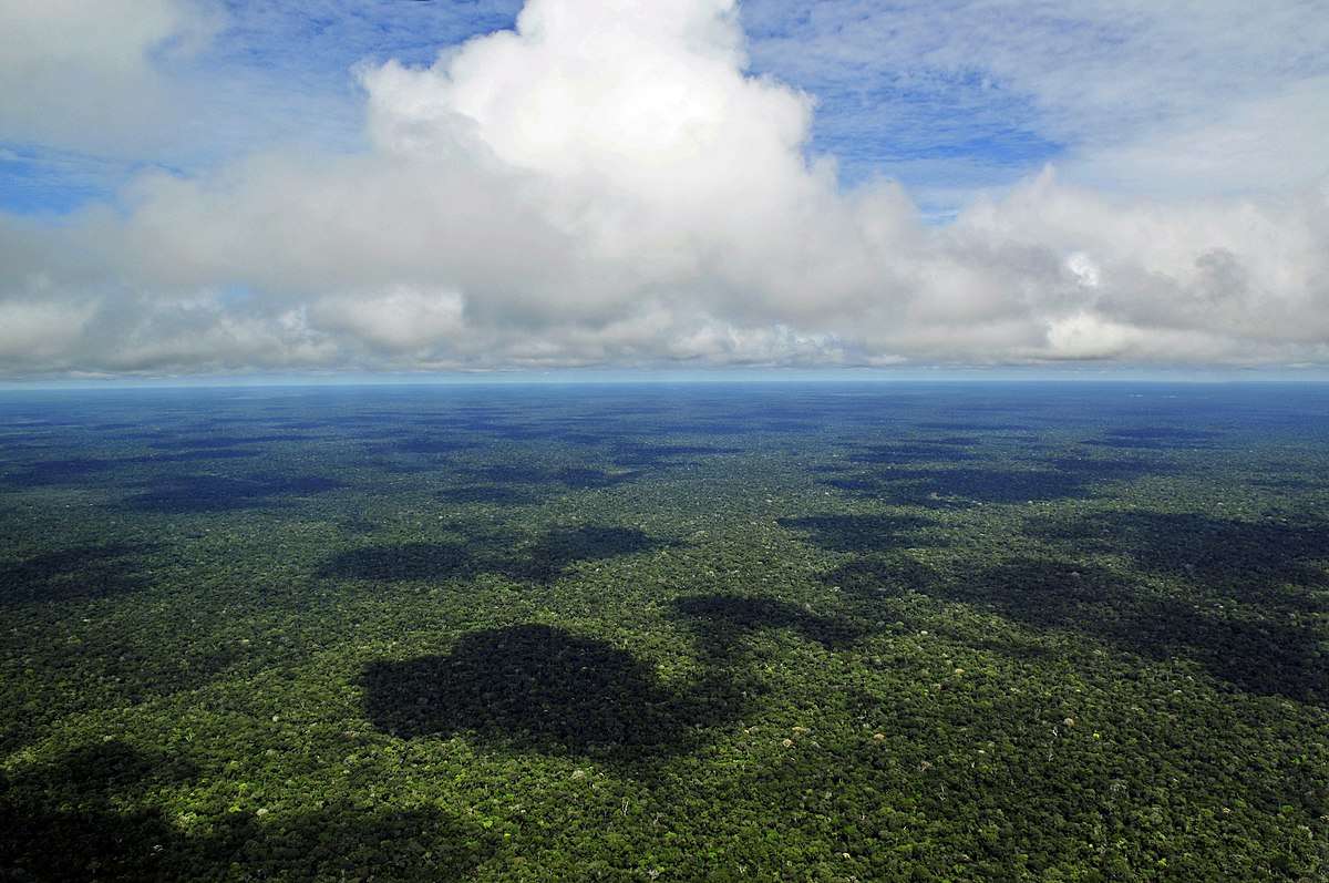 Ministério da Saúde destina R$ 225 milhões ao Amazonas Nesta segunda-feira (16), a ministra da Saúde, Nísia Trindade, assinou portaria que