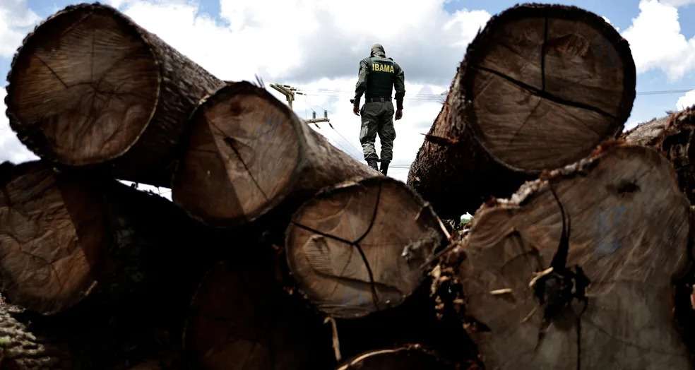 Alertas de desmatamento na Amazônia caem 31% com 5 meses do governo Lula/ Dados do Instituto de Pesquisas Espaciais (Inpe) apontam que os