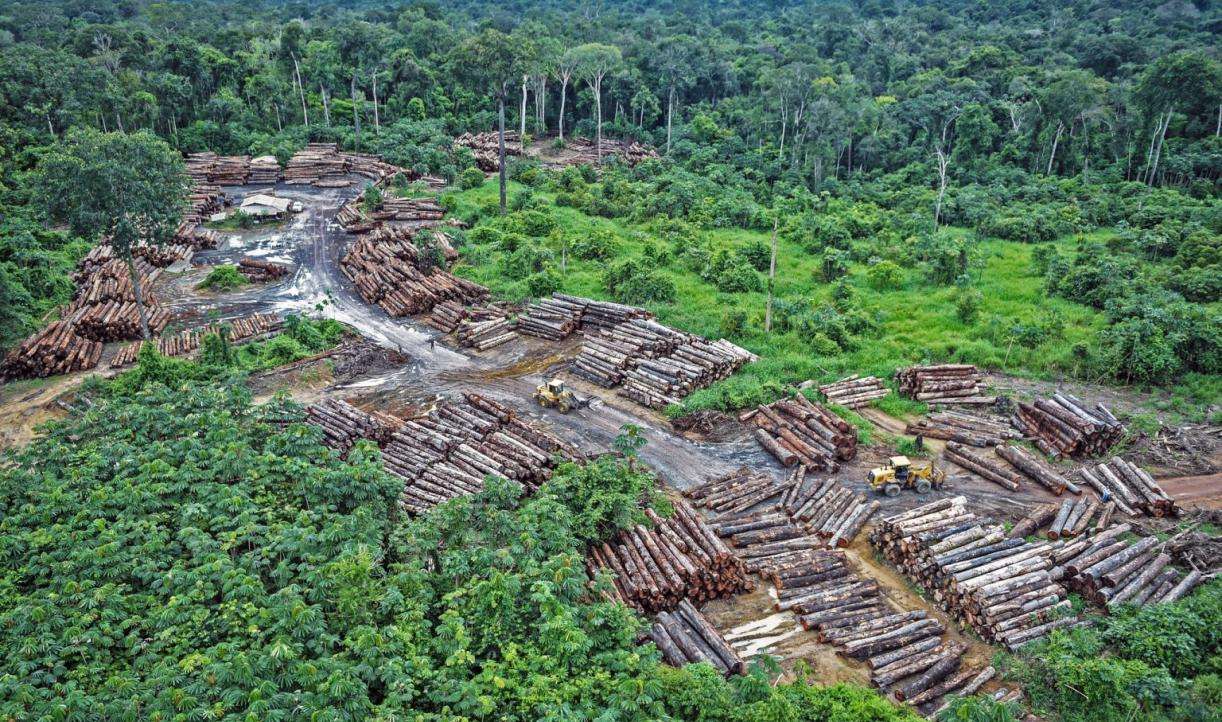 Desmatamento das florestas tropicais aumentou 15% no Brasil/ Um relatório publicado na manhã desta terça-feira (27) deixou o mundo em alerta