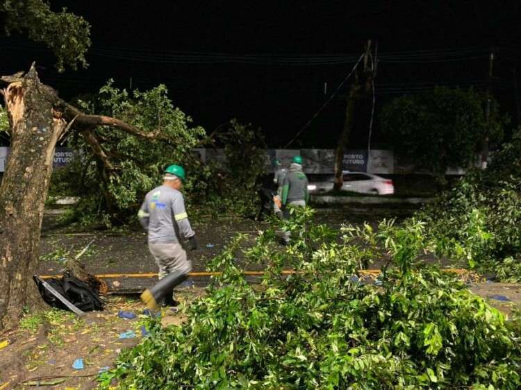 Árvores caem em Belém, devido temporal da noite de quarta; O temporal que caiu em Belém e assustou população