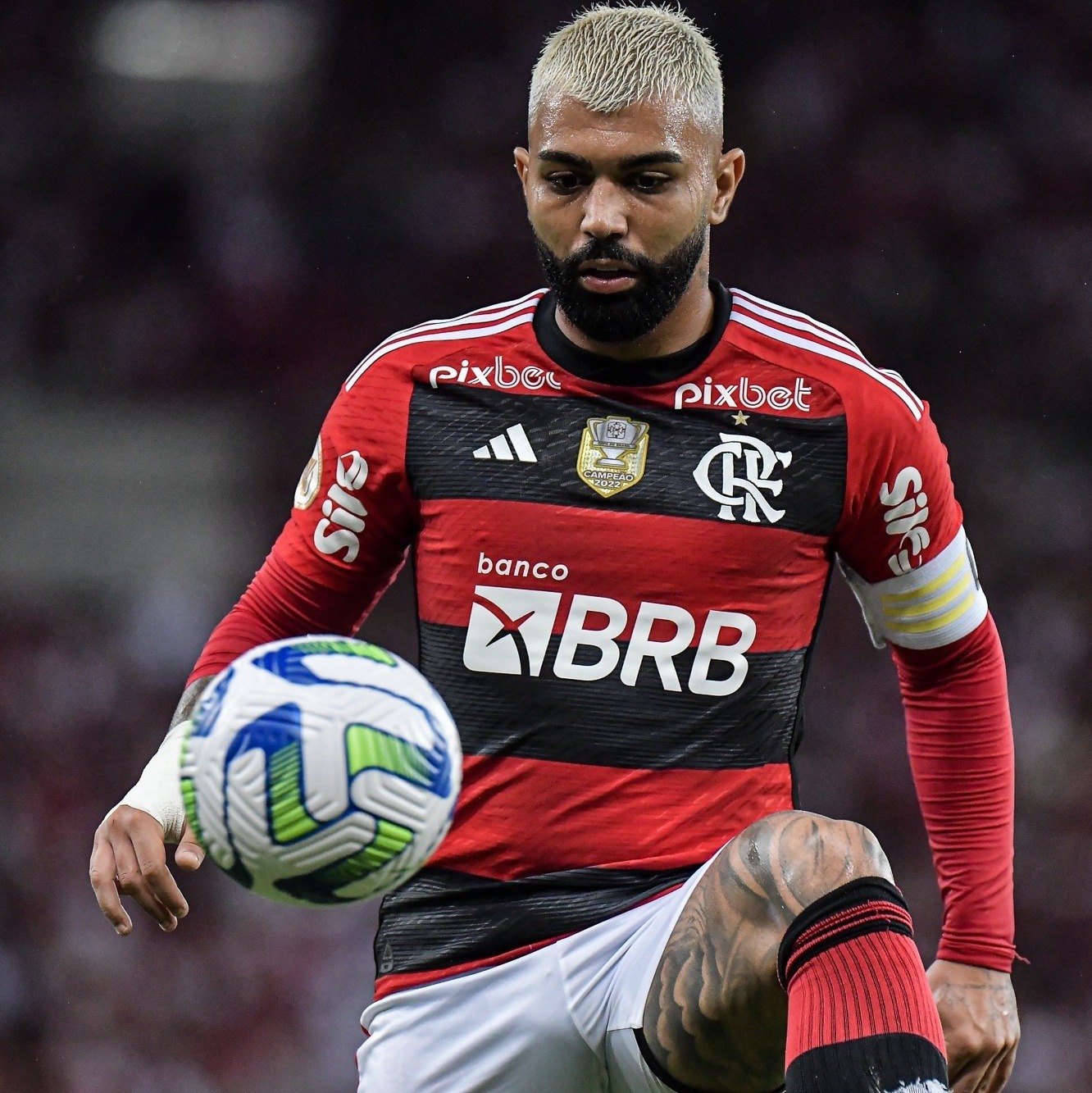 Flamengo tem maior índice de torcedores da história confirma Datafolha. O Datafolha publicou, nesta sexta-feira, uma pesquisa atualizada