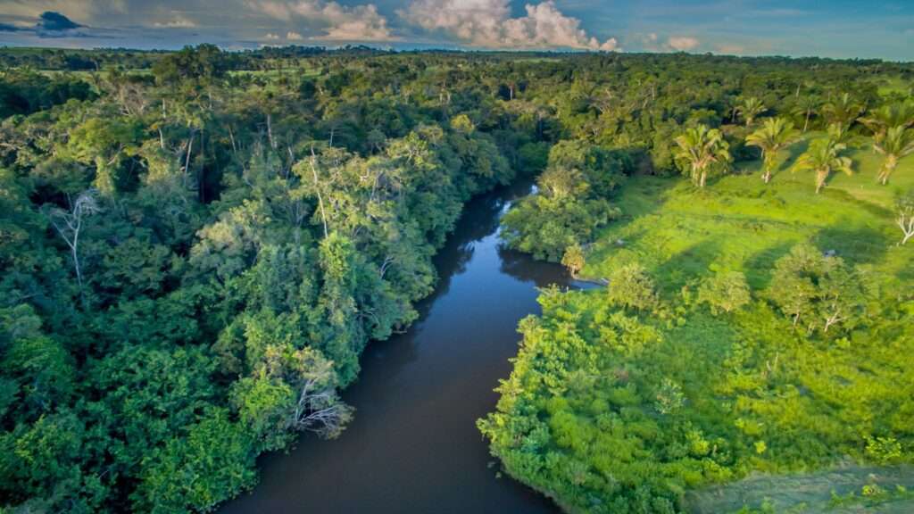Cúpula da Amazônia começa nesta terça com foco socioambiental Os Diálogos Amazônicos e a Cúpula da Amazônia, que acontecerão em Belém, no Pará