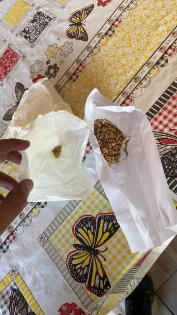 Saiba quem é o "maior destruidor da floresta amazônica" preso pela PF; O empresário Bruno Heller é o principal alvo da Operação Retomada