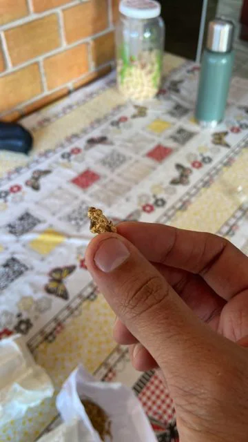 Saiba quem é o "maior destruidor da floresta amazônica" preso pela PF; O empresário Bruno Heller é o principal alvo da Operação Retomada