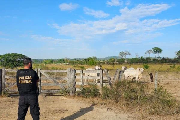 Saiba quem é o "maior destruidor da floresta amazônica" preso pela PF; O empresário Bruno Heller é o principal alvo da Operação Retomada