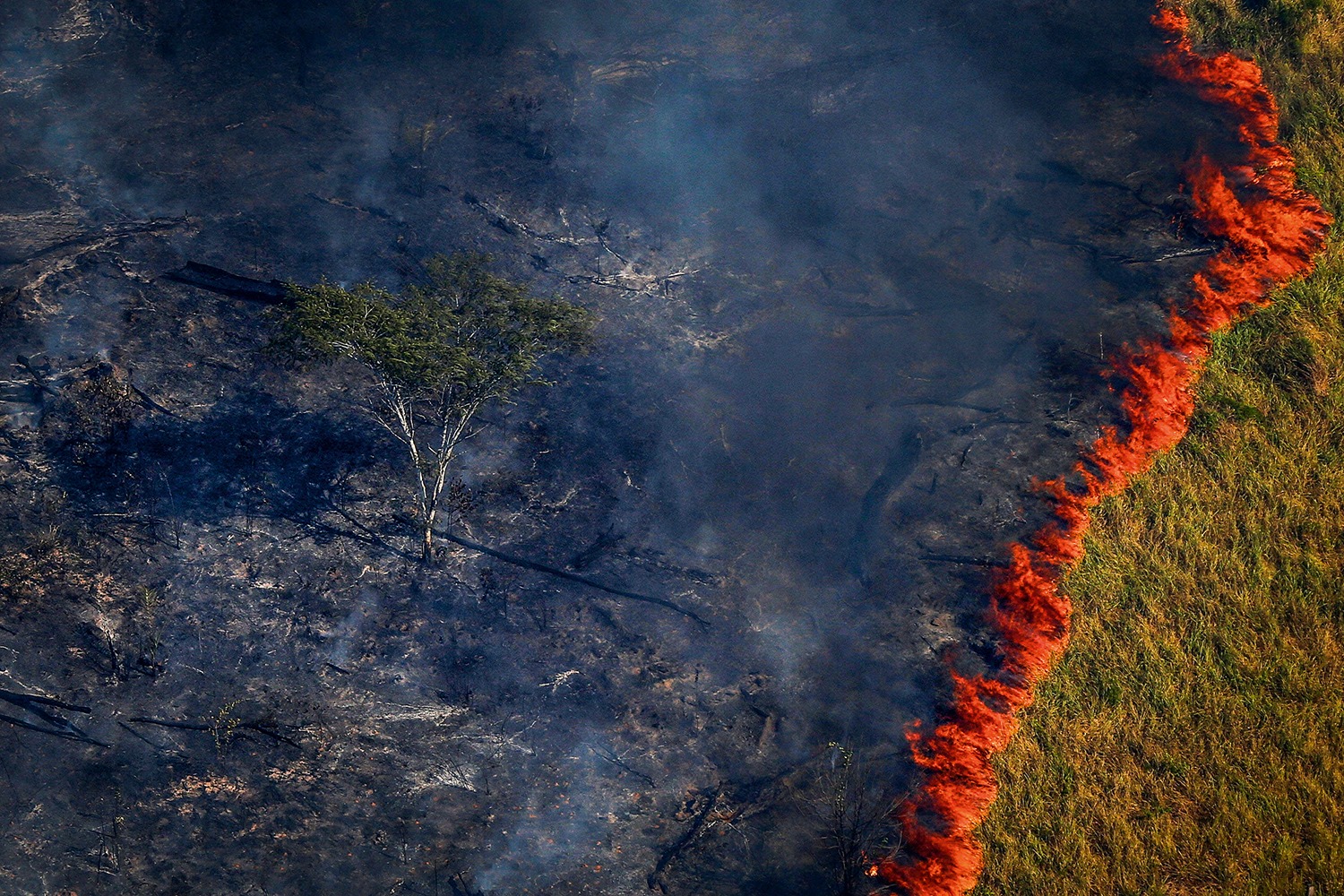 Em agosto, as queimadas na Amazônia diminuíram 48%. Os dados do Programa Queimadas do Instituto Nacional de Pesquisas Espaciais (Inpe)