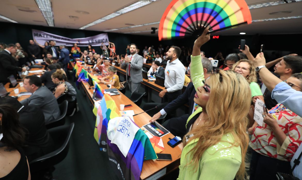 Comissão da Câmara adia votação do PL contra união homoafetiva A Comissão de Previdência e Família da Câmara dos Deputados adiou a votação de