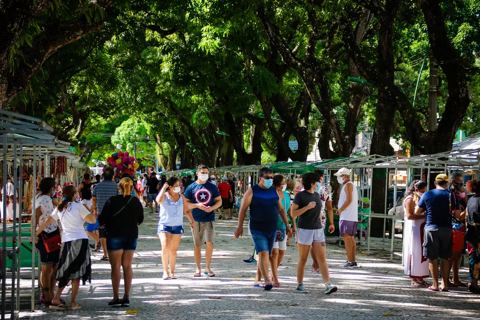 Dia da Árvore: Especialista diz que Belém precisa de arborização para ser sede da COP em 2025 A cidade de Belém precisa de mais arborização