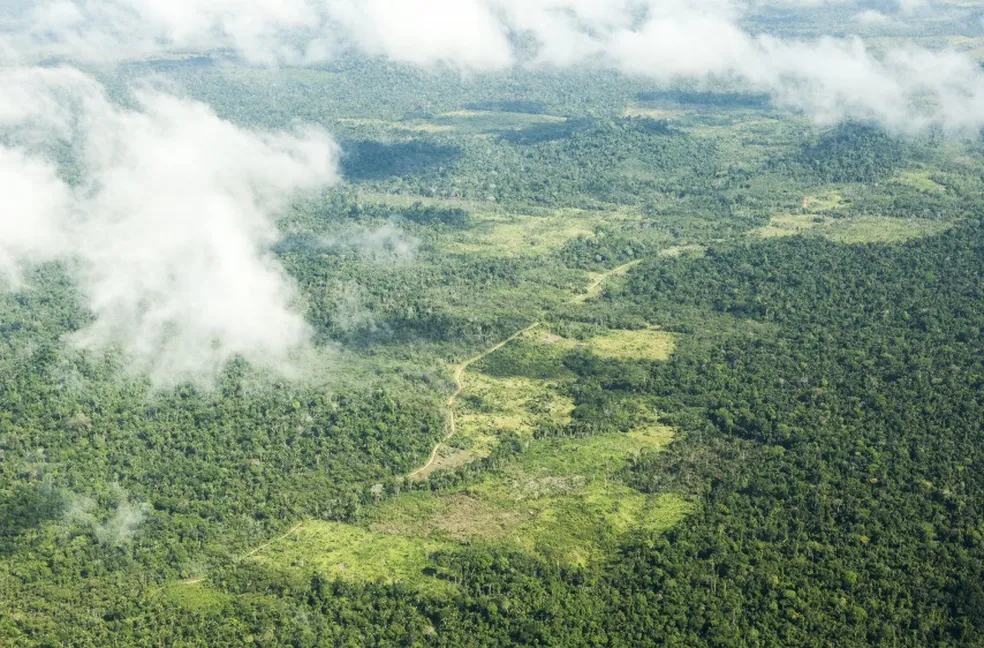 Dino autoriza uso da Força Nacional por 90 dias em Terra Indígena no Pará O Ministério da Justiça concedeu permissão para a Força Nacional