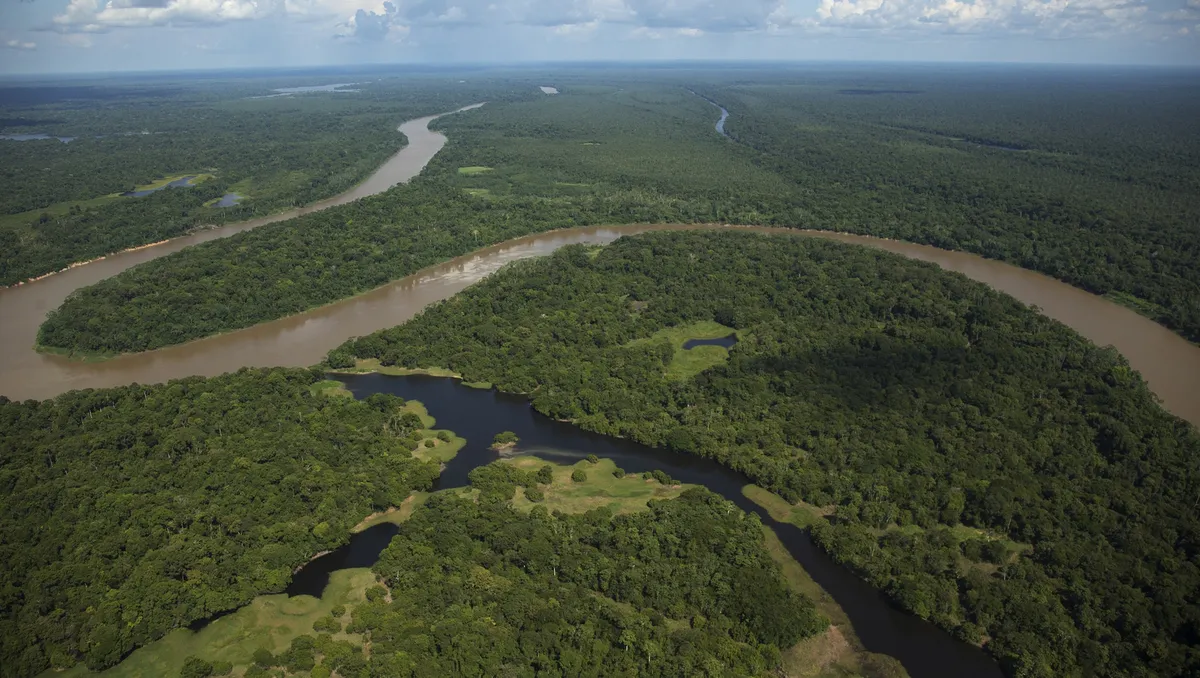 Fraude na Amazônia: empresas vendem créditos de carbono a gigantes multinacionais A Defensoria Pública do Estado do Pará informou que vinte