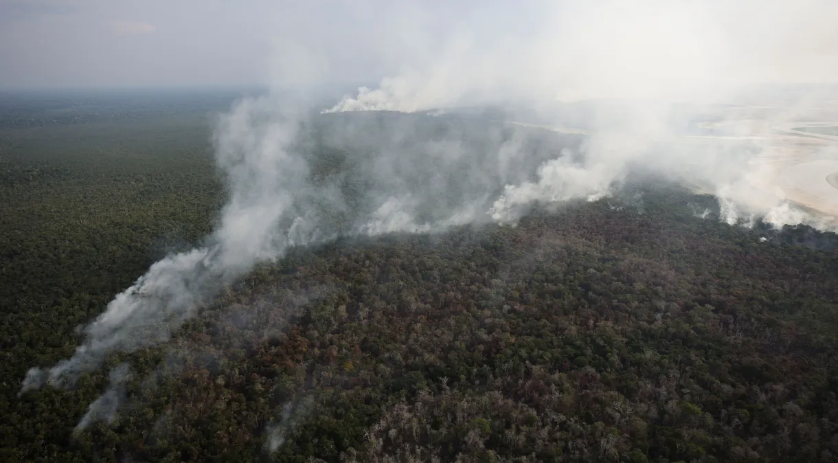 1.664 focos de fogo ativos foram identificados nos incêndios no Amazonas e Ibama manda reforço de brigadistas. O Ministério do Meio...