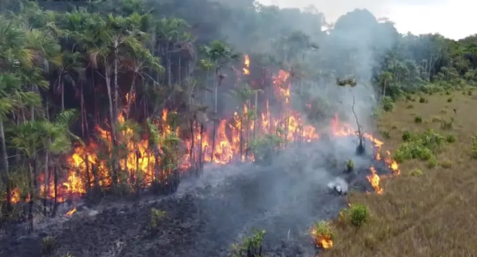 Incêndio no Marajó dura ao menos oito dias e deixa população alarmada